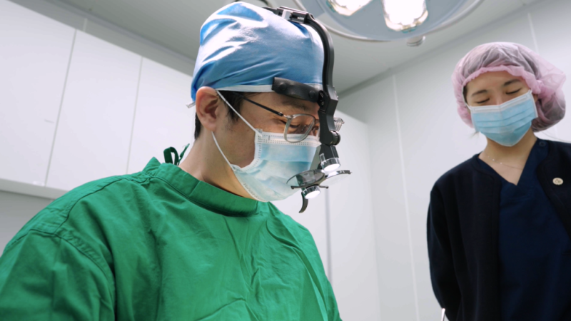 복코코끝성형 논현코성형외과 '이것' 만큼은 꼭 확인하세요