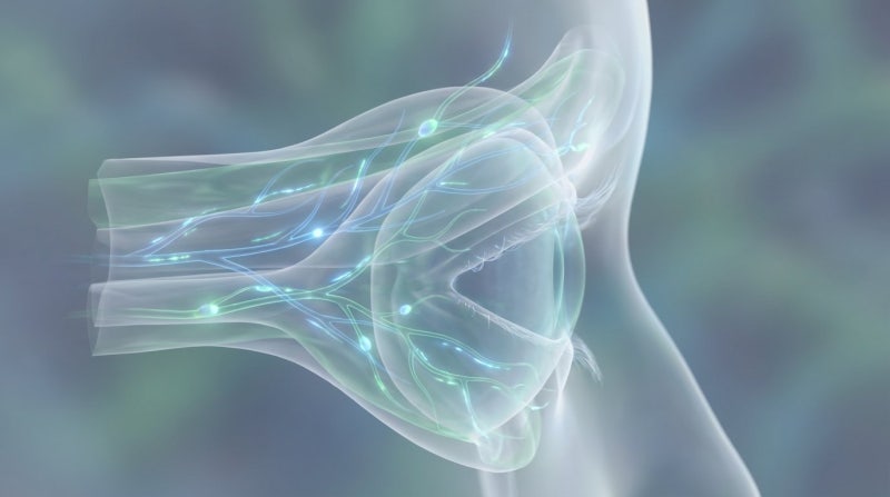 안검하수 재수술, 짝눈, 토안증 개선? ‘이것’ 확인하지 않으면 위험합니다. 사진 6