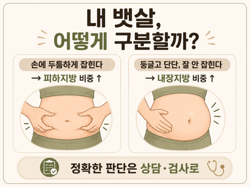 논현역 복부지방분해주사·지방흡입, 내 뱃살에는 뭐가 맞을까? 사진 7