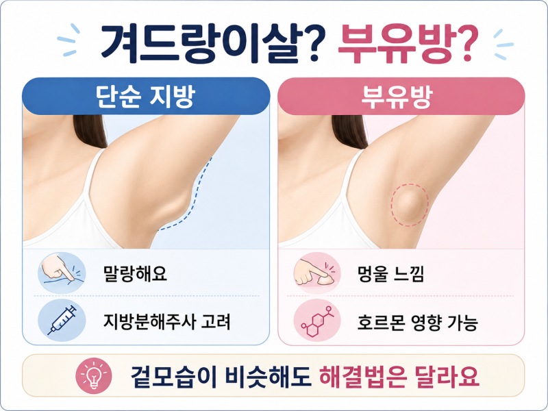 강남지방분해주사, 팔뚝살 안 빠지는 이유부터 확인하세요 사진 6