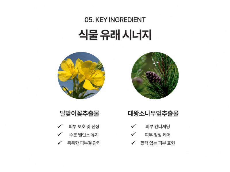 도자기의원 닥터도자기 데일리마스크팩 출시, 주요 성분과 데일리 케어 포인트 사진 7