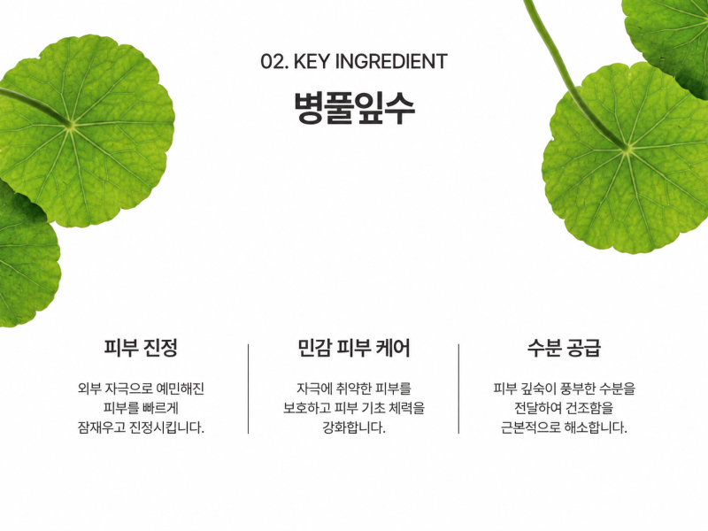 도자기의원 닥터도자기 데일리마스크팩 출시, 주요 성분과 데일리 케어 포인트 사진 4