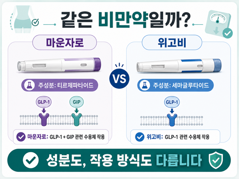 마운자로위고비차이, 더 잘 빠지는 약보다 먼저 확인해야 할 것 사진 3