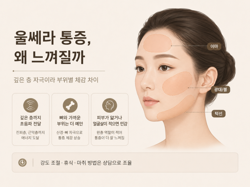 신논현역피부과 울쎄라, 아픈 것보다 먼저 확인해야 할 게 있습니다 사진 5